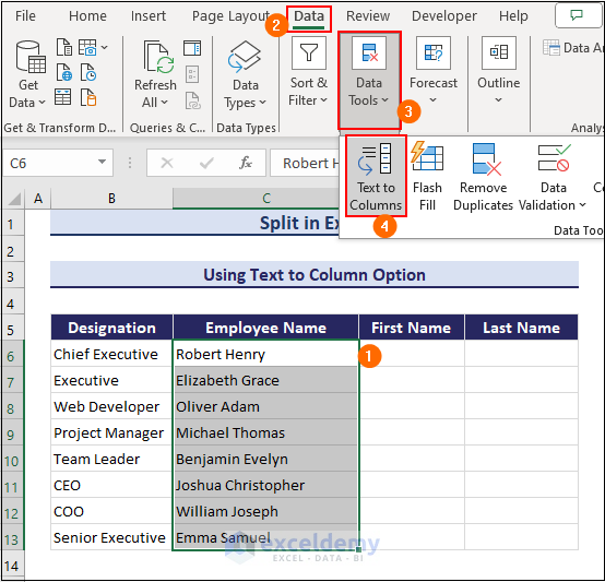 Selecting Text to Column to split in Excel