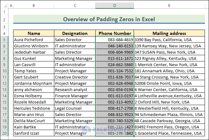 Overview of Excel pad zeros