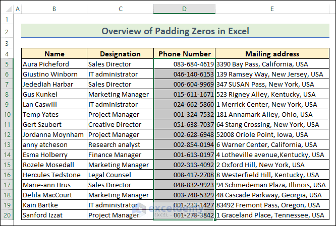 Excel Pad Function A Complete Guide on How to Pad Zeros in Excel? - ExcelDemy