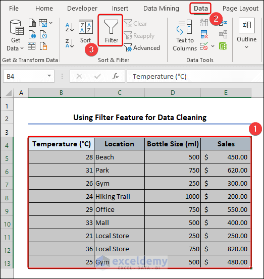 Clicking Filter command in Data tab