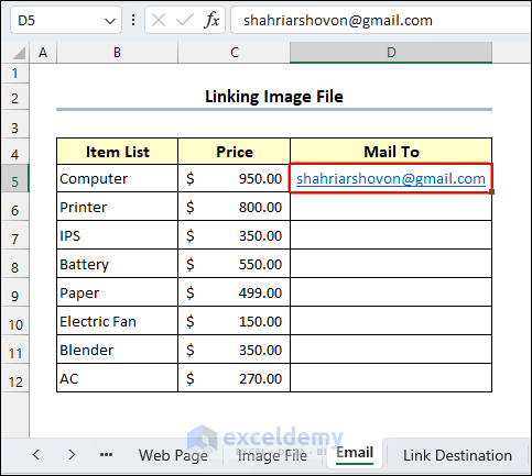 E-mail address link appears in D5 for linking in excel