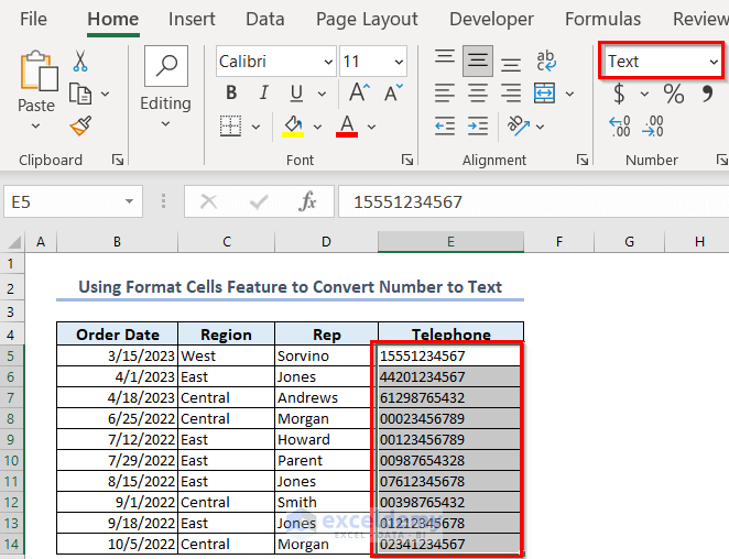 Getting Text format of numbers