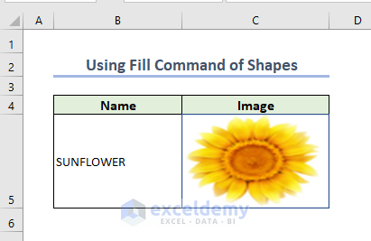Output after inserting picture in shape