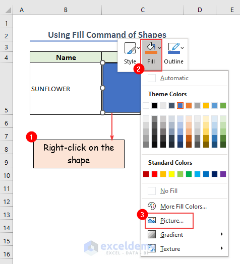 Replace picture as a shape