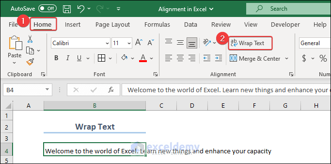 Select and Apply Wrap Text to Cells