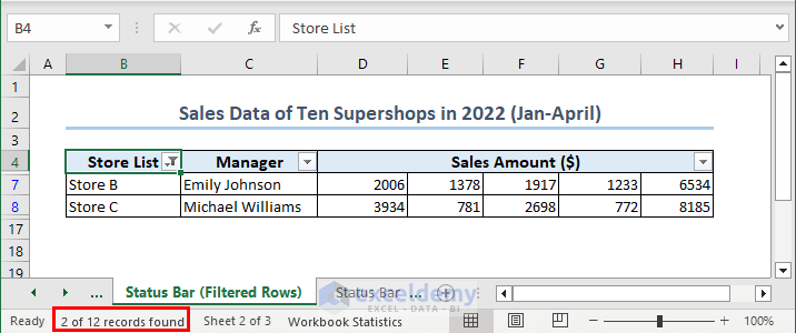 Filter Applied to Show Status Bar in Excel