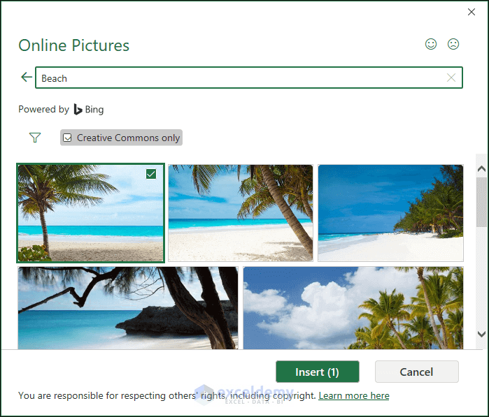 Online Pictures window