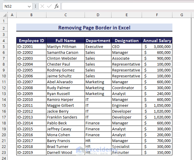 Sample Dataset to Demonstrate How to Remove Page Border in Excel
