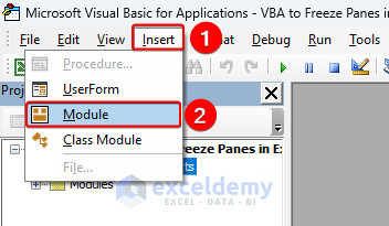 inserting a module in the VBA Editor