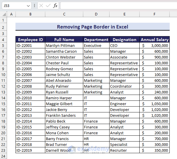Dataset After Removing Page Border in Excel