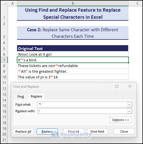 Characters changed in a single cell with Find and Replace feature
