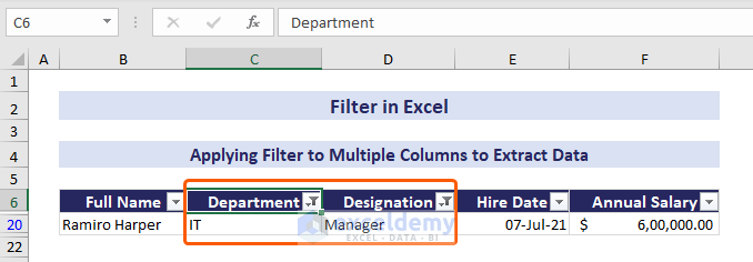 Filter data from Department and Designation columns