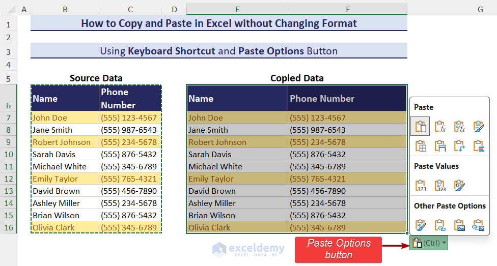 Paste Options button in Excel