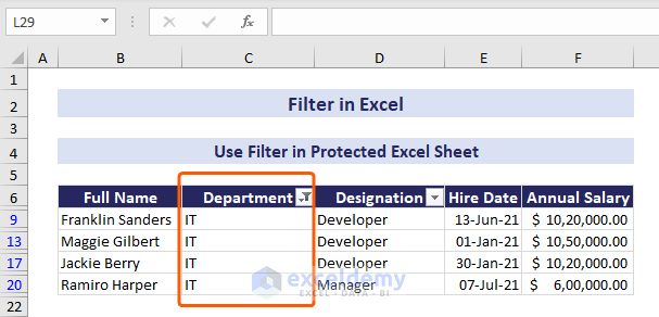 Filtered data in protected Excel sheet