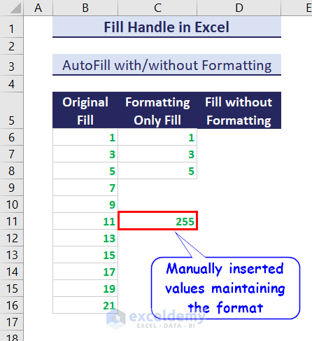 Manually inserted value maintaining the format