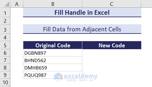 dataset of copying code using fill handle