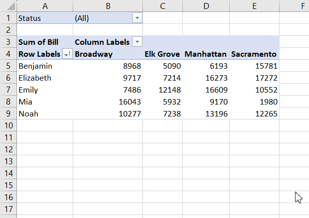 using filter in the pivot table