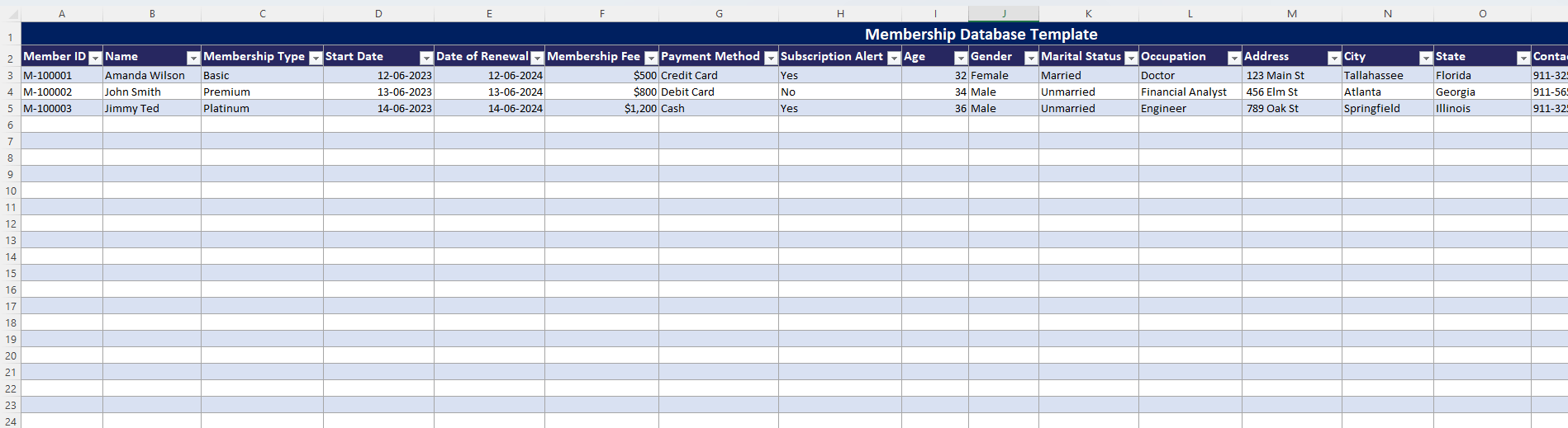Excel Membership Database free template