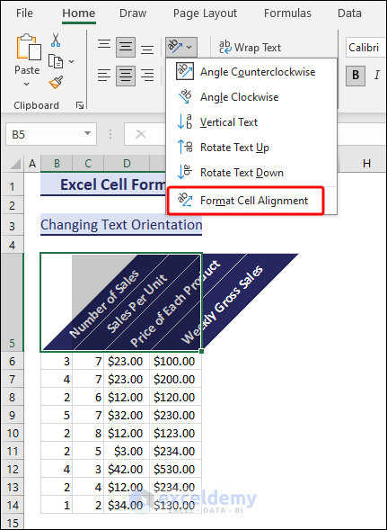 Opening Format Cell Dialog Box for Orientation