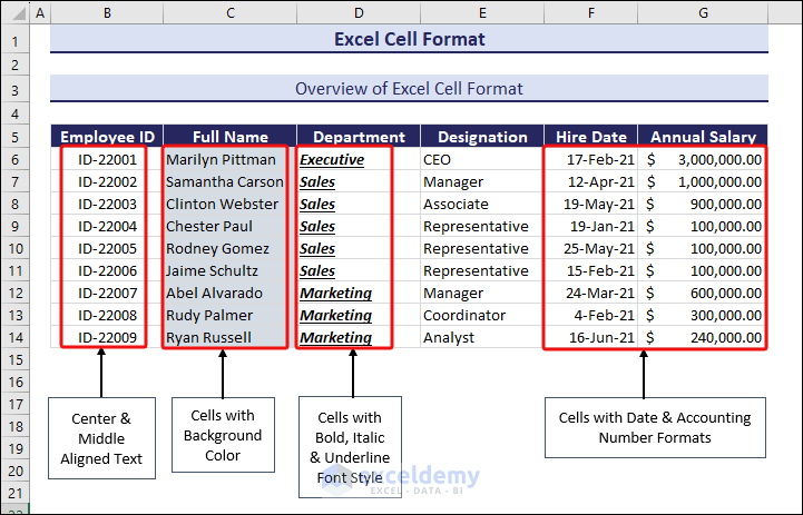 Overview of Excel Cell Format