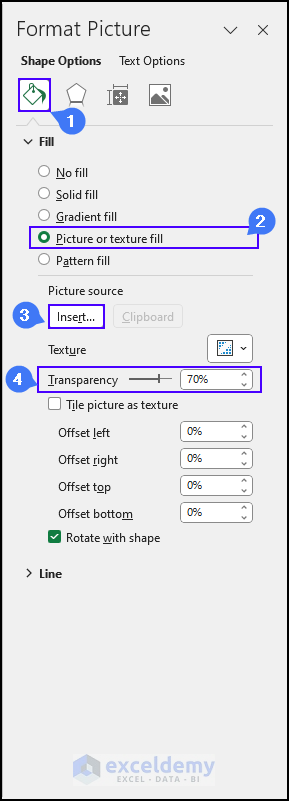 inserting and formatting picture 