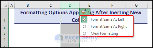 formatting option after inserting new columns
