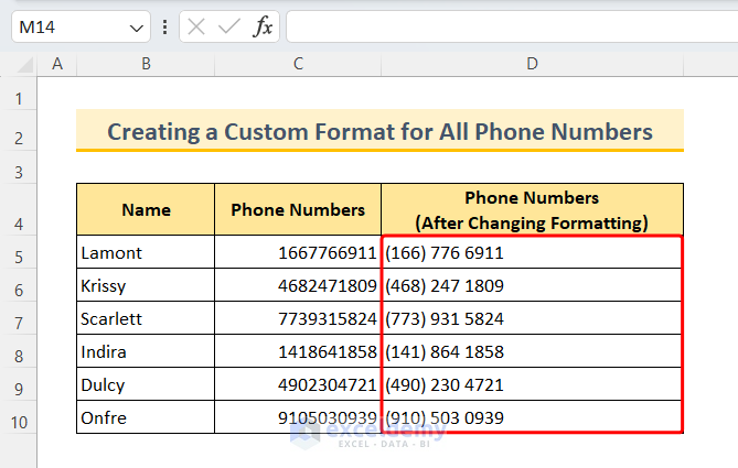 Creating a Custom Format for All Phone Numbers.png