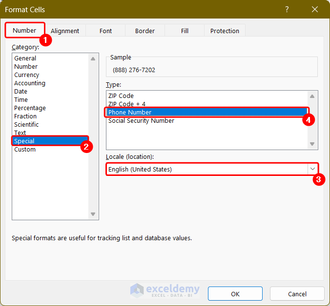 Selecting Special Category in the Format Cell Dialog Box