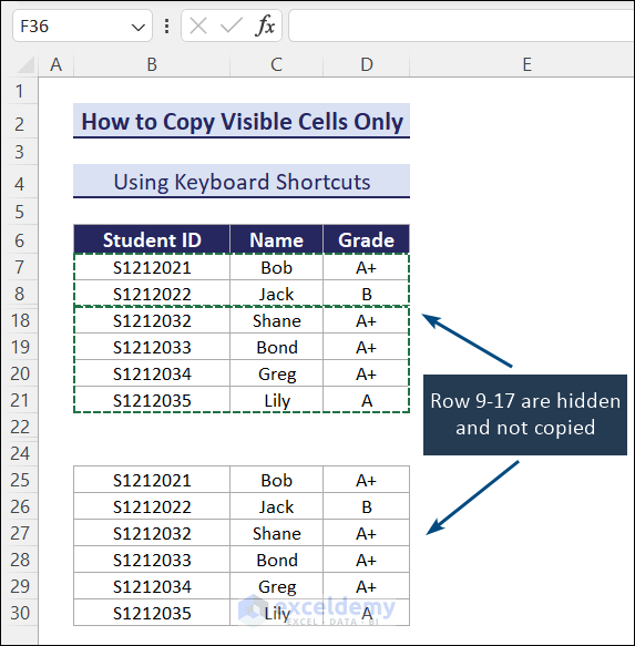 visible cells pasted with Ctrl+V